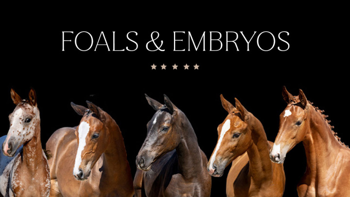 Foals & Embrios