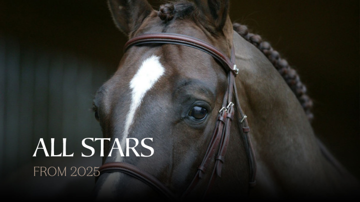 All Stars 
